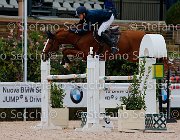 Pina Conglove Gold GioCav2013 S5 2592 : Campionati Italiani Giovani Cavalli, Cattolica, Conglove Gold, Pina Gabriele, ph Stefano Secchi ©